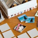 Jeu de memory chats Remember Cats