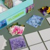 Jeu memory fleurs Remember Flowers