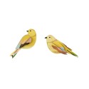 Oiseaux du jardin passereaux decoratifs Studio Roof Citrinella Pair