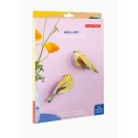 Oiseaux du jardin passereaux decoratifs Studio Roof Citrinella Pair