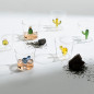 ichendorf milano verre desert plants cactus ambre