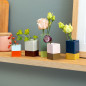 Mini vase design couleur Remember Dip set de 5