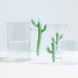 Tasse a the cafe verre design cactus Ichendorf Milano Desert Plants