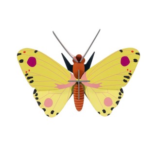 Papillon mural decoration carrton jaune Studio Roof Luzerne Butterfly