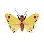 Papillon mural decoration carrton jaune Studio Roof Luzerne Butterfly