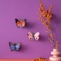 Decoration murale papillon carton Studio Roof Crysalus Butterfly