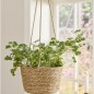 porte plante suspendu jute naturel jonc de mer ib laursen