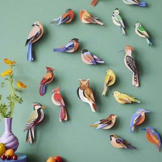 Oiseaux de jardin 3D carton decoratifs Studio Roof Forest Crests
