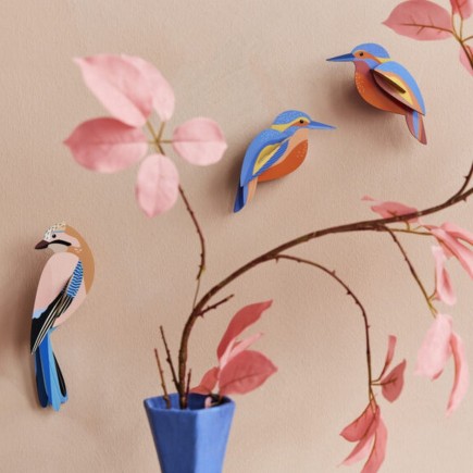 oiseau papier decoratif mural geai studio roof jay