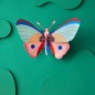 Großer Wandschmetterling, Studiodach, Cattleheart-Schmetterling
