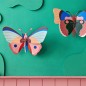 Großer Wandschmetterling, Studiodach, Cattleheart-Schmetterling