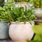 cache pot terre cuite artisanale beige ib laursen margot