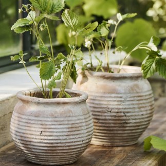 cache pot terre cuite artisanale beige ib laursen margot