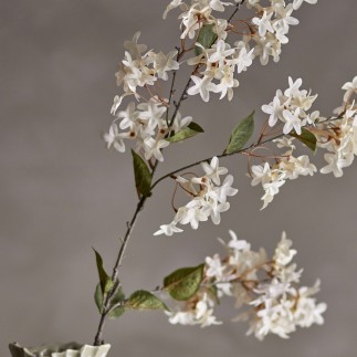 Tige fleur artificielle myrte Bloomingville