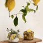 Cache pot decoratif citrons sculptes relief Madam Stoltz