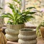 cache pot elegant chic vert ceramique ondule ib laursen
