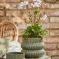 cache pot elegant chic vert ceramique ondule ib laursen