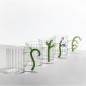 Tasse verre anse fleurs sculptees Ichendorf Milano Botanica