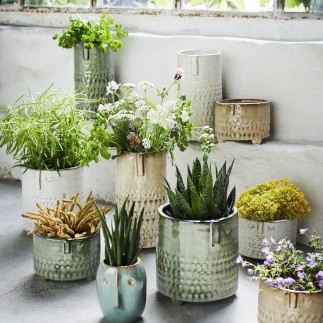 madam stoltz pot a cactus gres visage vert clair HY15321-10-G