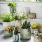 madam stoltz pot a cactus gres visage vert clair HY15321-10-G