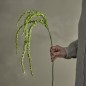 fleur artificielle queue de renard vert bloomingville foxtail