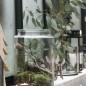 ib laursen vase droit verre transparent