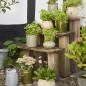 Pot de fleur ceramique artisanale vert IB Laursen