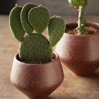Cache-pot design grès Madam Stoltz