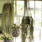Makramee-Pflanzenhalter aus Naturjute von IB Laursen
