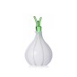 Huilier verre design fenouil Ichendorf VEGETABLES
