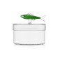 Boite en verre decorative poisson sardine bonbonniere Ichendorf Marine Garden