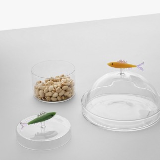 Boite en verre bonbonnière sardine Ichendorf MARINE GARDEN