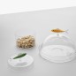 Boite en verre decorative poisson sardine bonbonniere Ichendorf Marine Garden
