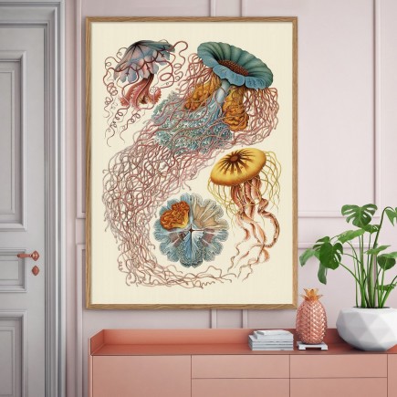 Affiche Ernst Haeckel méduses The Dybdahl Discomedusae