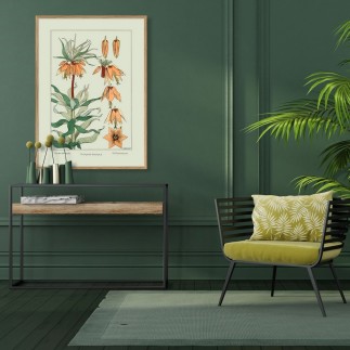 affiche botanique fleurs couronne imperiale the dybdahl