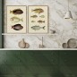 Affiche planche poissons The Dybdahl The Fishes