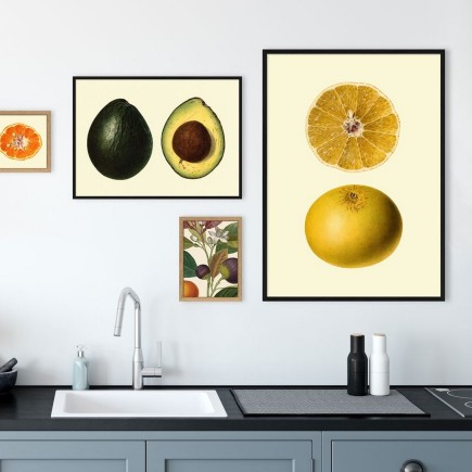 Affiche citron The Dybdahl Lemon