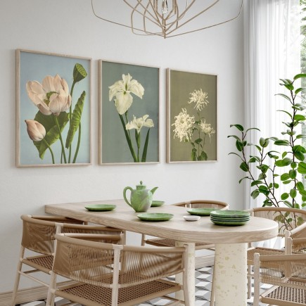 Photographie florale colorisée The Dybdahl Triple Lotus