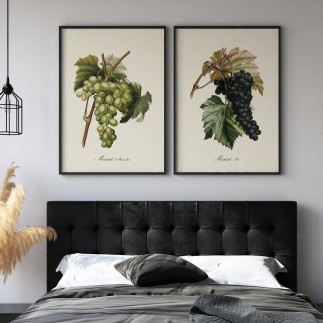 Affiche grappe de raisin The Dybdahl Muscat Noir