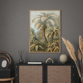 affiche botanique fougeres the dybdahl alsophila