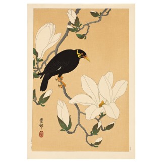 Affiche ancienne japonaise oiseau Ohara Koson The Dybdahl