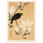 Affiche ancienne japonaise oiseau Ohara Koson The Dybdahl