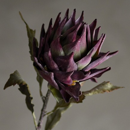 Tige fleur artificielle Protea Bloomingville