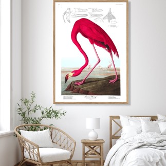 affiche vintage flament rose the dybdahl american flamingo