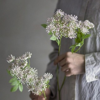 plante fenouil artificiel bloomingville
