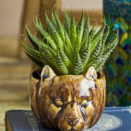 cache pot tete animal gres marron bloomingville abner