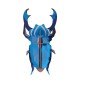 Coleoptere decoration murale carton metalise Studio Roof