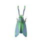 Sauterelle decoration murale carton metalise Studio Roof Grasshopper