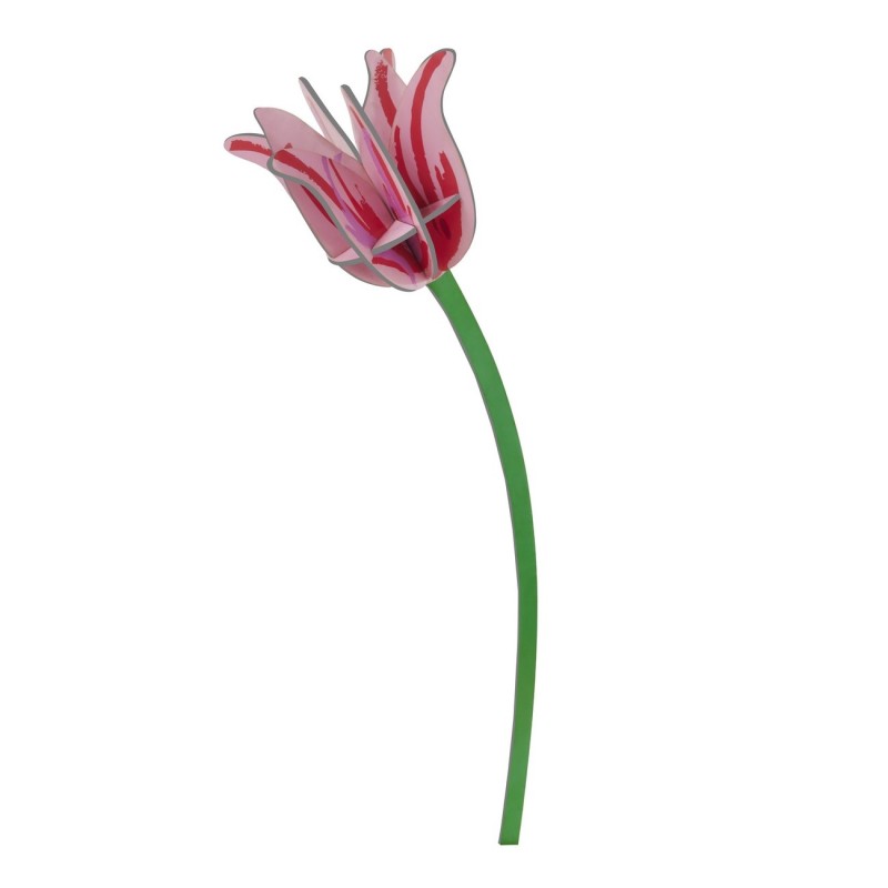 Fleur tulipe decorative carton Studio Roof