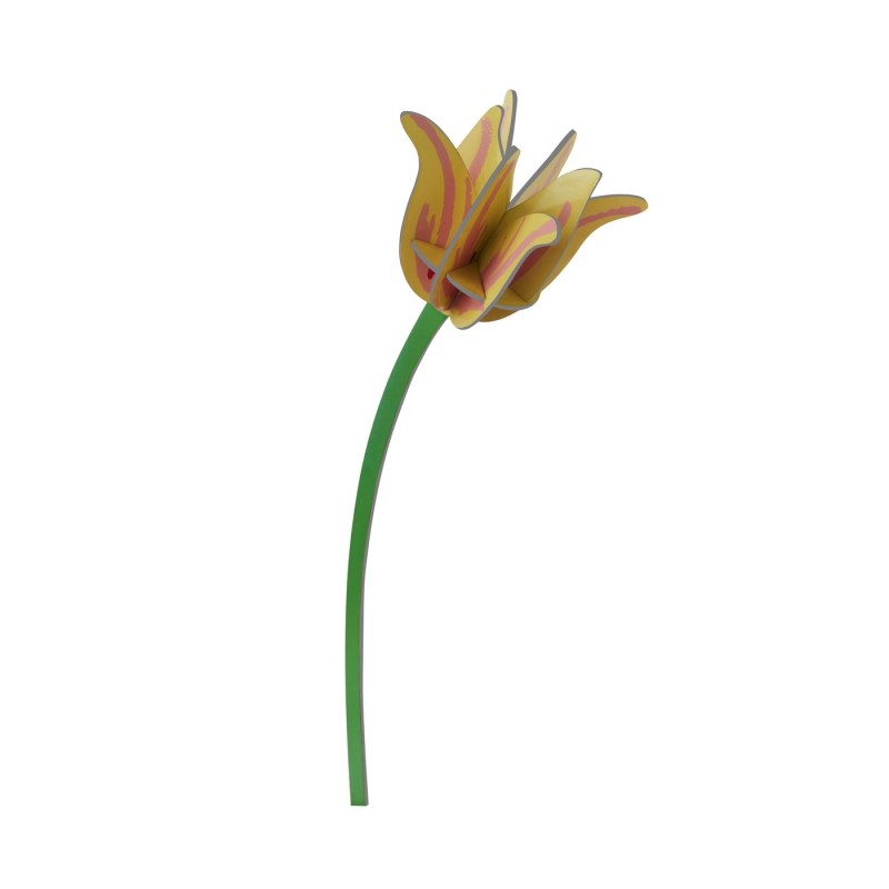 Fleur decorative carton  tulipe Studio Roof